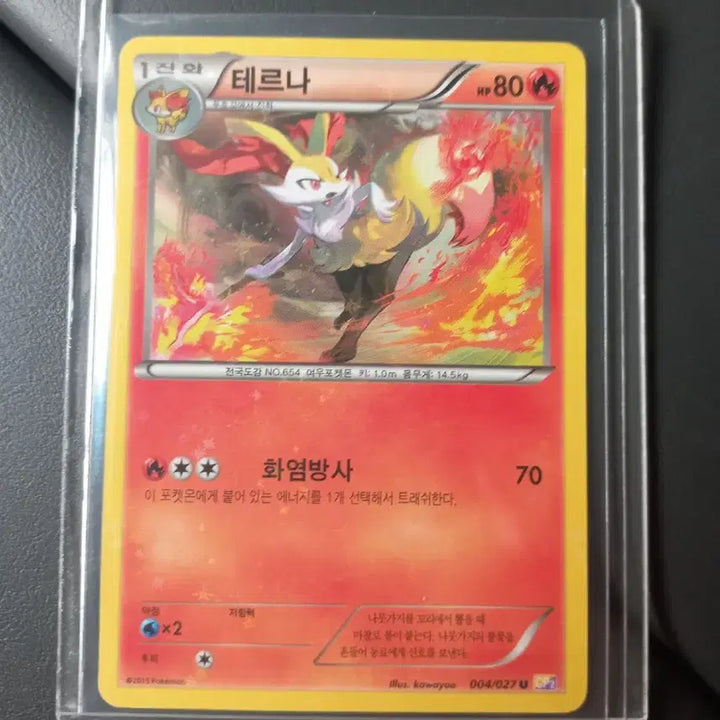 [BUNJANG] Terna CP2 Pokemon Card (2015) / 테르나cp2  포켓몬카드 (2015)