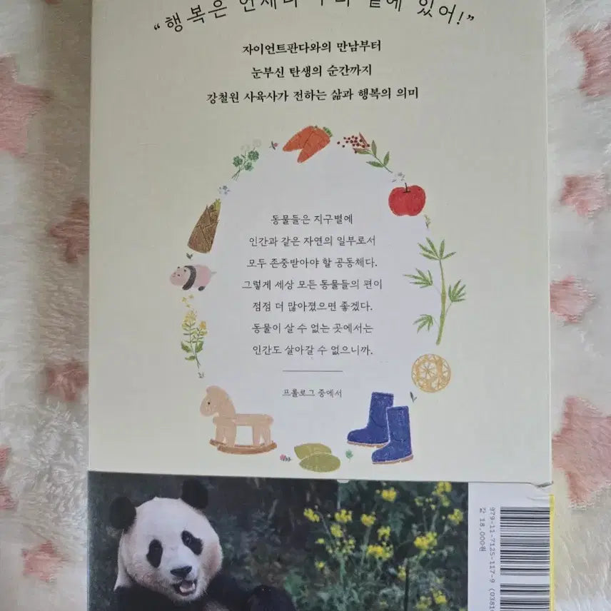 [BUNJANG] Bao Family Fu Bao Book / 바오패밀리 푸바오 책 판매합니다 급처