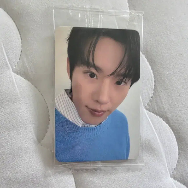 [BUNJANG] Kim Sung Cheol Photocard / 김성철 포카