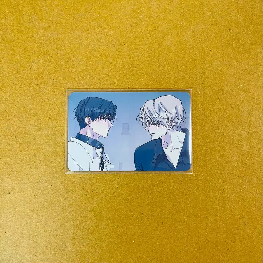 [BUNJANG] Rebom A-Baak Rootless Tree Special Offer Photocard / 레봄 아밝 뿌리없는나무 뿌없나 특전