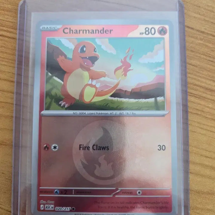 [BUNJANG] Pokemon TCG Fire Energy Charizard North American Edition / 포켓몬카드 불꽃에너지 파이리 북미판