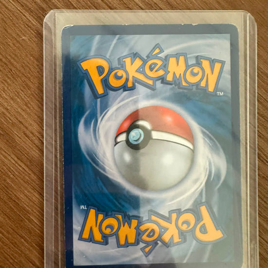 [BUNJANG] Gyarados Magikarp Special Edition / 잉어킹 고래왕 특일