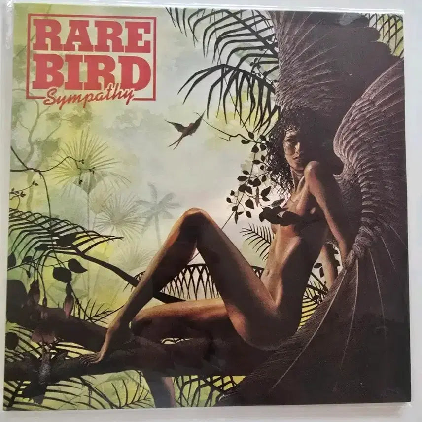 [BUNJANG] Rare Bird Sympathy LP with Lyric Book / 레어 버드  LP/ Rare Bird - Sympathy/ 가사집 있음/ NM