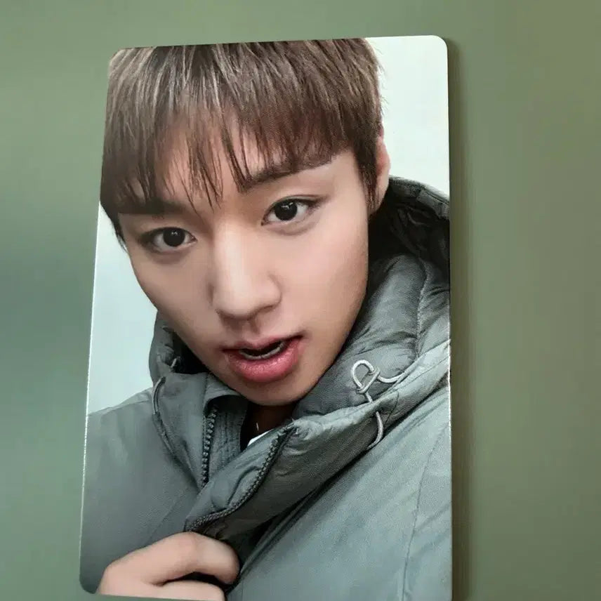 [BUNJANG] Park Jihoon Superdry Photocard / 박지훈 슈퍼드라이 포카1장