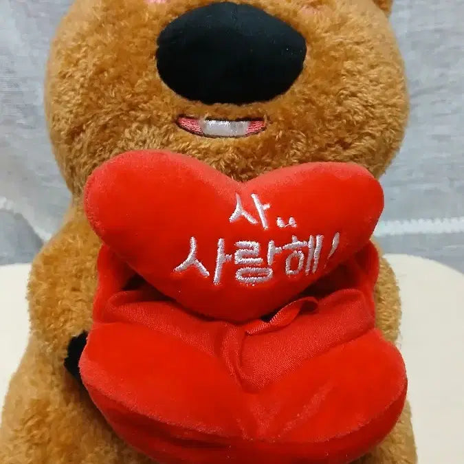 [BUNJANG] Quokka Heart Pocket Plush Toy &