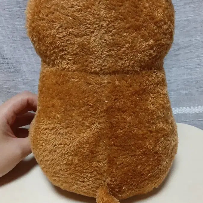 [BUNJANG] Quokka Heart Pocket Plush Toy &