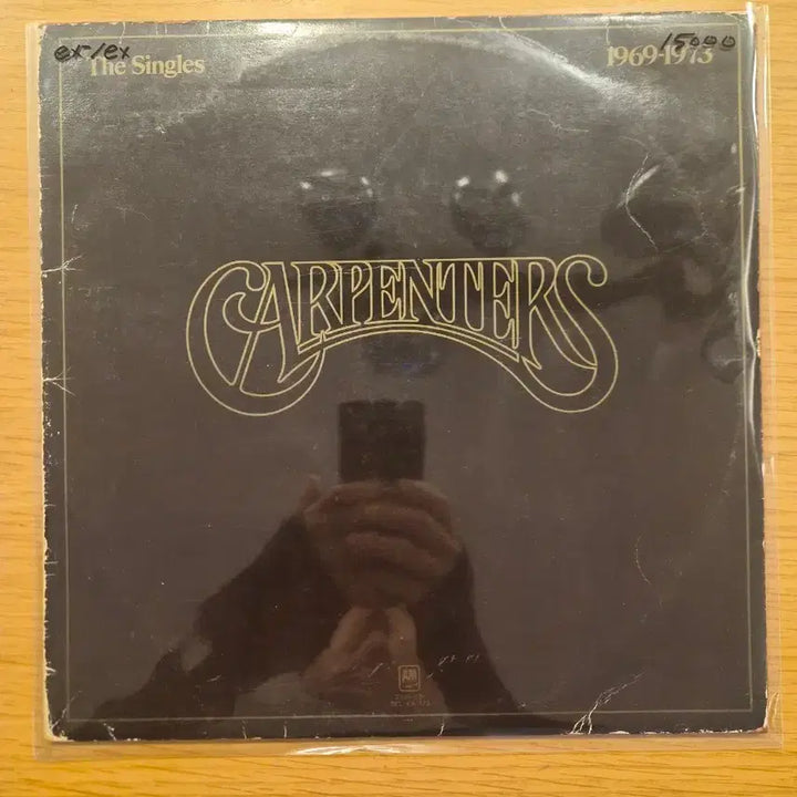 [BUNJANG] Carpenters LP Vinyl Record / Carpenters lp