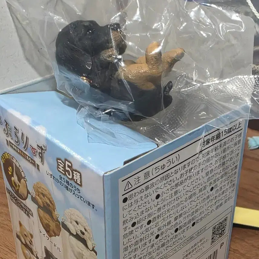 [BUNJANG] Burabura Swing Puppy Series Dog Figure Gacha / 부라부라 스윙 멍멍 시리즈 강아지 피규어 가챠
