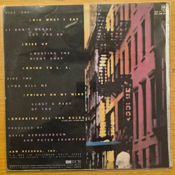 [BUNJANG] Framton LP Vinyl Record / framton lp