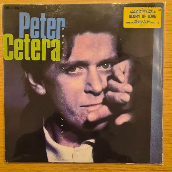 [BUNJANG] Peter Cetera LP / Peter cetera lp