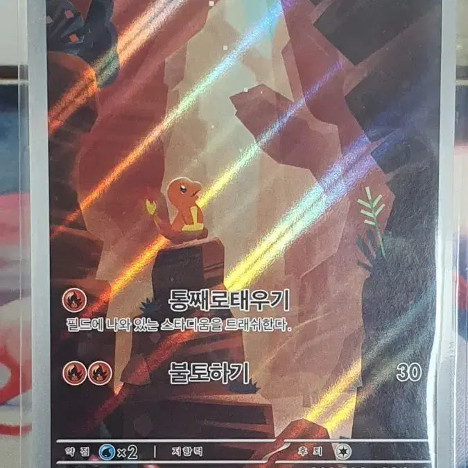 [BUNJANG] Pokemon Card Charmander AR / 포켓몬카드 파이리 AR