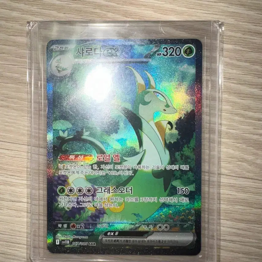 [BUNJANG] Pokemon Card N&