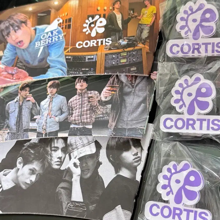 [SOLD OUT] 코르티스 오크베리 아사이 OAK BERRY CORTIS 양도