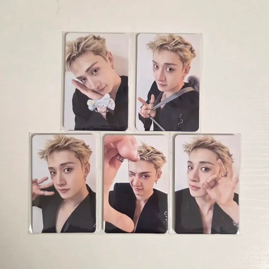 [BUNJANG] Stray Kids Concert Entry Photocard Bundle Set / 스트레이키즈 콘서트 입장 포토카드 5세트 40장 일괄