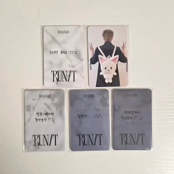 [BUNJANG] Stray Kids Concert Entry Photocard Bundle Set / 스트레이키즈 콘서트 입장 포토카드 5세트 40장 일괄