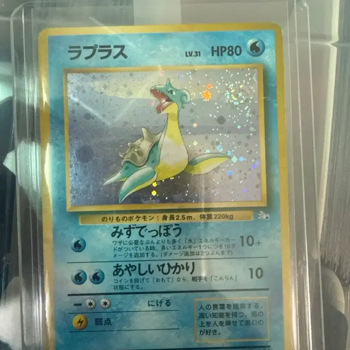 [BUNJANG] Lapras Vintage Card / 라프라스 빈티지 카드 팝니다