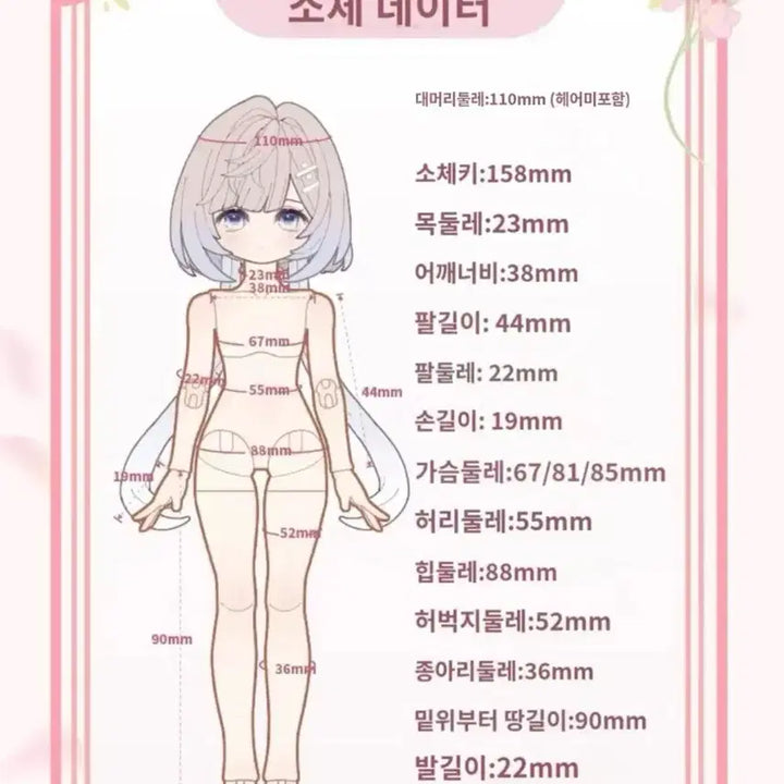 [BUNJANG] BJD 1/8 Scale Articulated Doll Figure / 구체관절인형 BJD 1/8 피규어