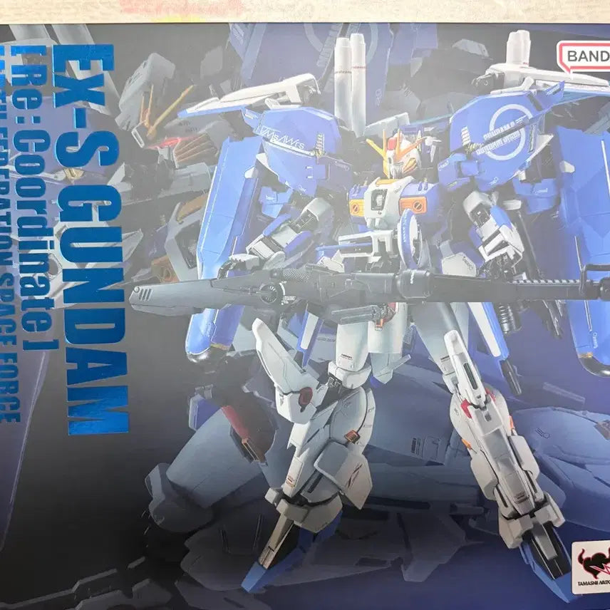 [BUNJANG] Metal Robot Spirits EX-S Gundam Recoordinate Unsealed / (개봉품) 메탈로봇혼 ex-s 건담 리코디네이트