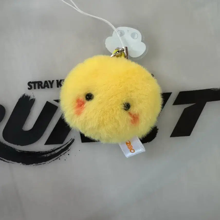 [BUNJANG] Stray Kids Concert Entrance Gift Pom Pom Keyring / 스키즈 스트레이키즈 콘서트 입장 기프트 폼폼키링 양도