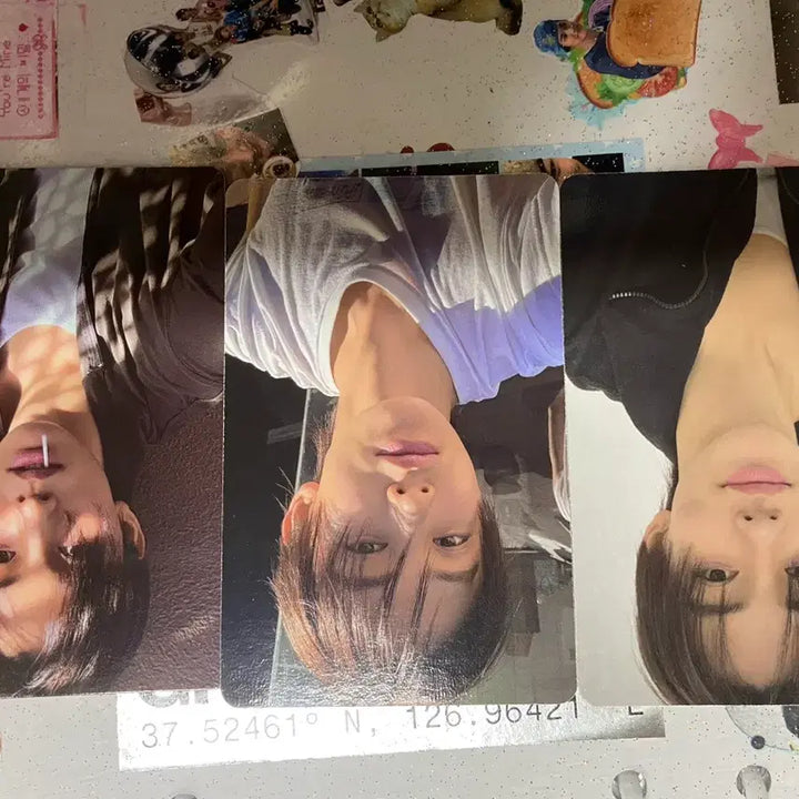 [BUNJANG] Cortiz SungHyun Photocard / 코르티스 성현 그린그린 GREENGREEN 포카