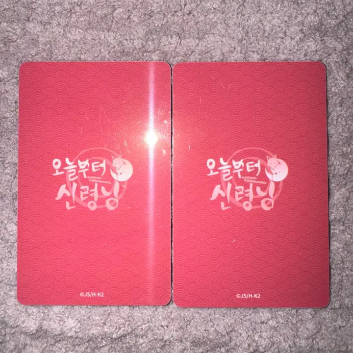 [BUNJANG] Kamisama Kiss Popup Photocard / 오늘부터 신령님 팝업 포토카드