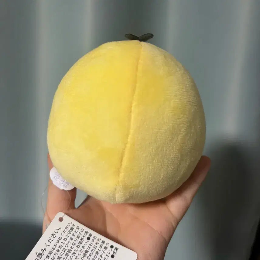 [BUNJANG] Kiiroitori Flower Plush / 키이로이토이 꽃인형