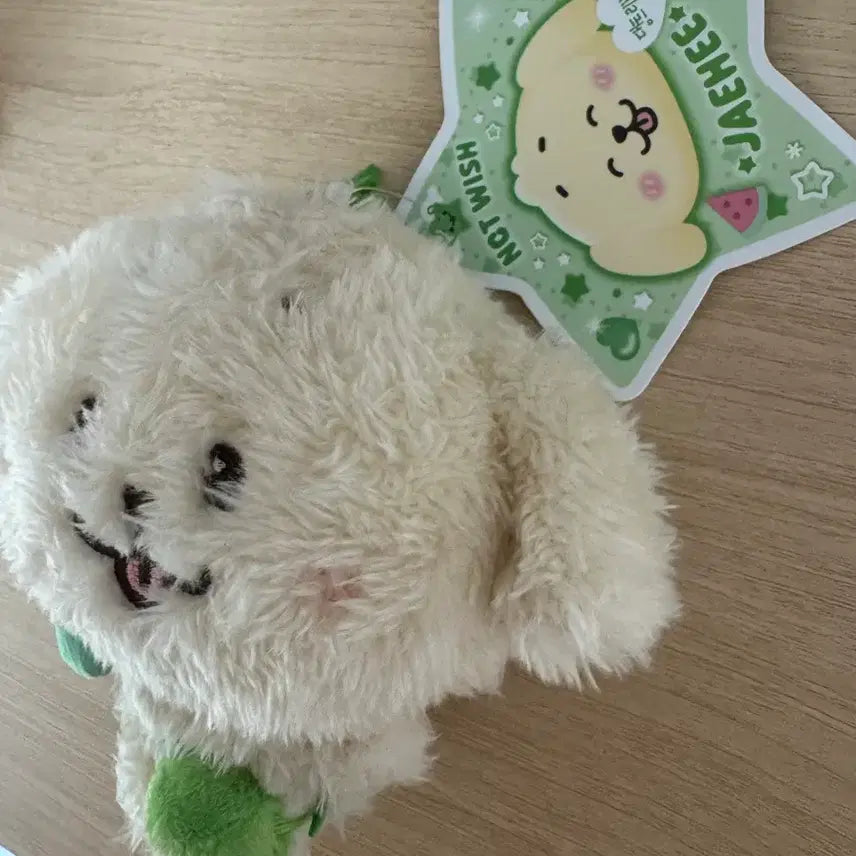 [BUNJANG] NCT WISH WISHDOLL Original Daengtreever Daeng Unsealed / (오늘까지)(단순개봉) 엔시티위시 위시돌 오리지널 댕트리버 댕트 팝니다