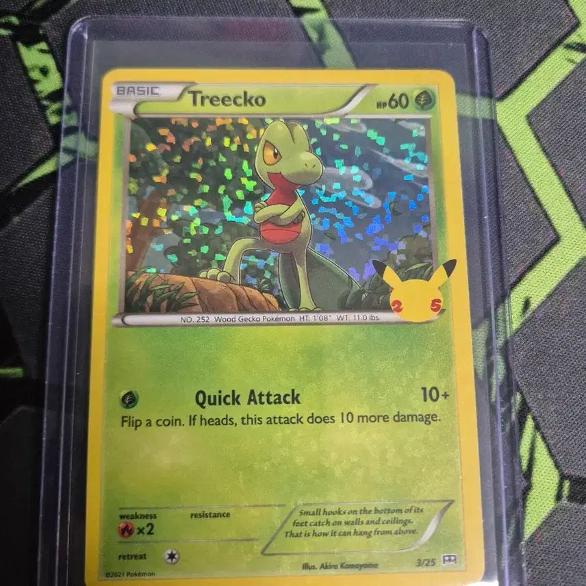 [BUNJANG] 25th Anniversary North America Promo Namujigi Holo Card / 25주년 북미 프로모 나무지기 홀로