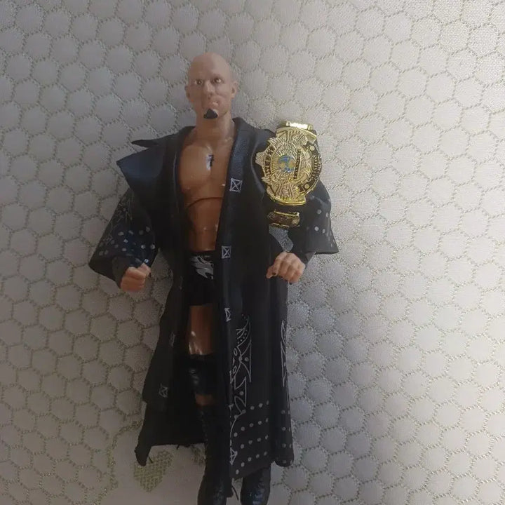 [BUNJANG] Christopher Daniels Pro-Wrestling Figure / 프로레슬러 크리스토퍼 다니엘스 피규어 팝니다.wwe 피규어