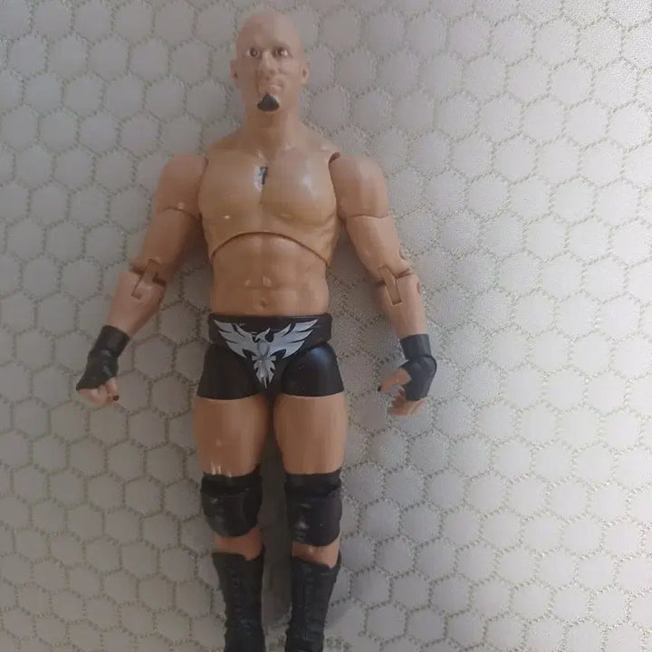 [BUNJANG] Christopher Daniels Pro-Wrestling Figure / 프로레슬러 크리스토퍼 다니엘스 피규어 팝니다.wwe 피규어