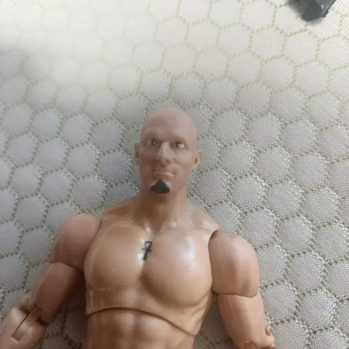 [BUNJANG] Christopher Daniels Pro-Wrestling Figure / 프로레슬러 크리스토퍼 다니엘스 피규어 팝니다.wwe 피규어
