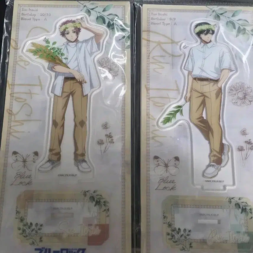 [BUNJANG] Blue Lock Isagi Sae Isagi Rin Acrylic Stand Bundle Set / 블루록 이토시 사에 이토시 린 아크릴 스텐드 일괄