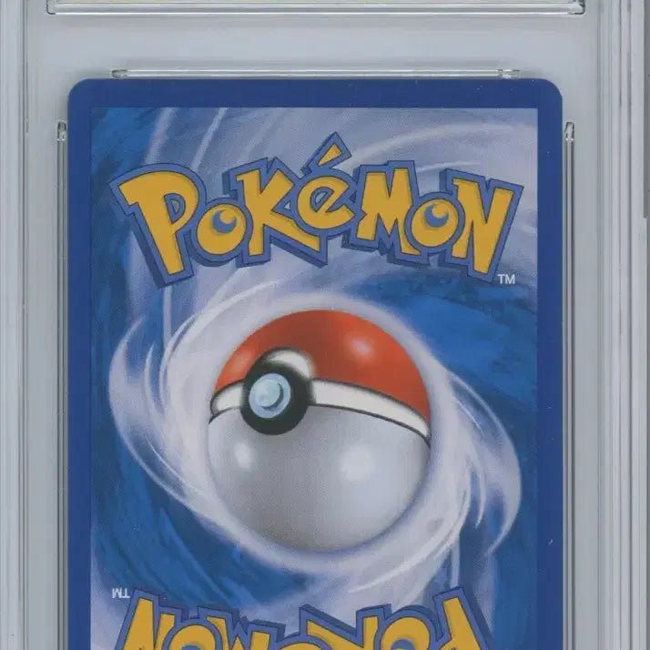 [BUNJANG] Pokemon Card Karen Full Art BRG8 / 포켓몬카드 XY 카렌 풀아트 BRG8