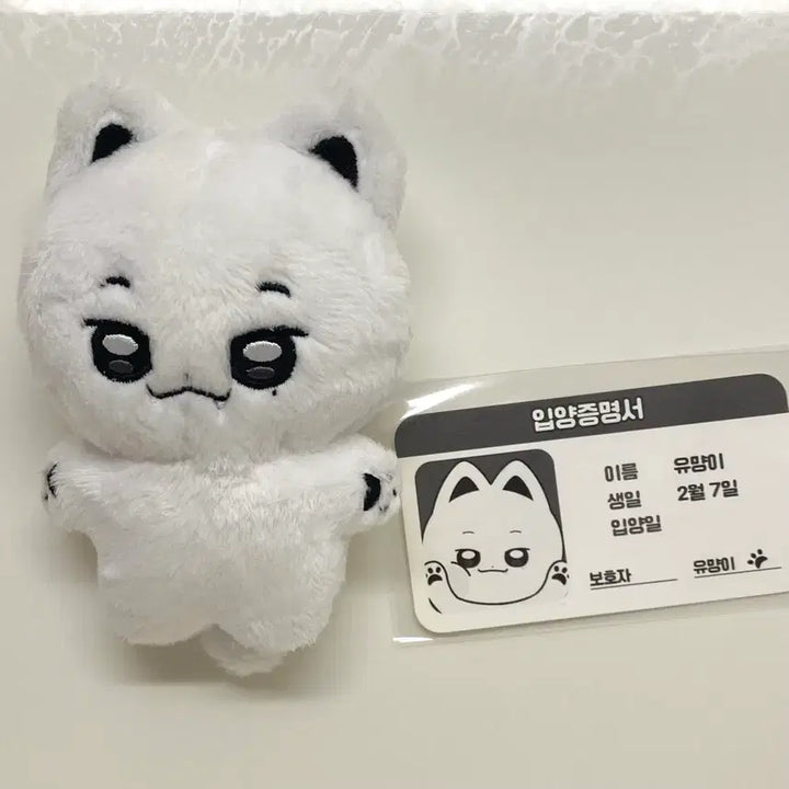 [BUNJANG]  &amp;TEAM Yuma Yummy Doll / 앤팀 유마 유먕이 인형