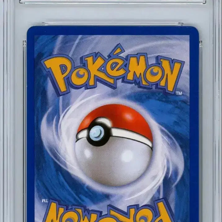 [BUNJANG] Pokemon Card BW Raikou Full Art BRG8 / 포켓몬카드 BW 풍란 풀아트 BRG8