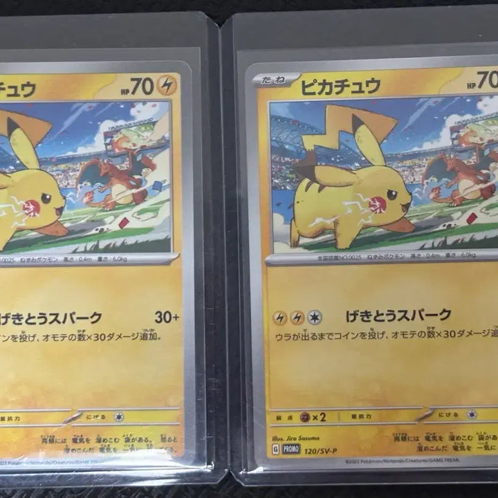 [BUNJANG] 2023 Japanese Pokemon Card Pikachu vs Charizard Gym Promo / [포켓몬카드] 2023 일판 짐 프로모 피카츄 vs 리자몽 팝니다