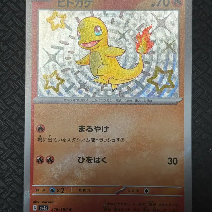 [BUNJANG] Japanese Shiny Charizard Pokemon Card / [포켓몬카드] 일판 이로치 파이리 판매합니다