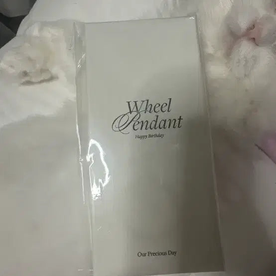 [BUNJANG] NCT WISH Riku Birthday Necklace / 엔시티 위시 리쿠 생일 목걸이 판매