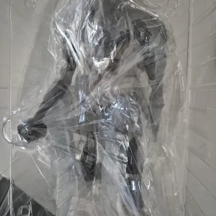 [BUNJANG] Attack on Titan Beast Titan A Prize Figure (Unsealed) / (개봉양품) 제일복권 이치방쿠지 진격의 거인 짐승거인 A상 판매