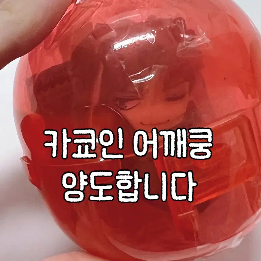 [BUNJANG] JoJo&