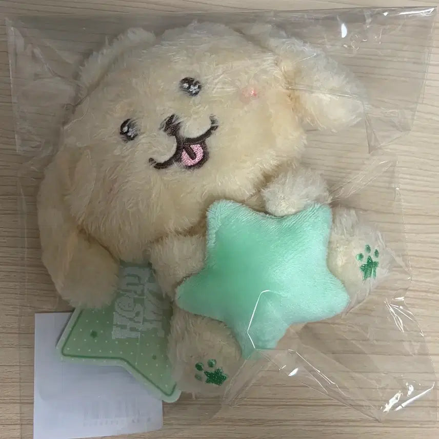 [BUNJANG] NCT WISH Star Wish Doll Daeng Treever / 엔시티위시 스타위시돌 댕트리버