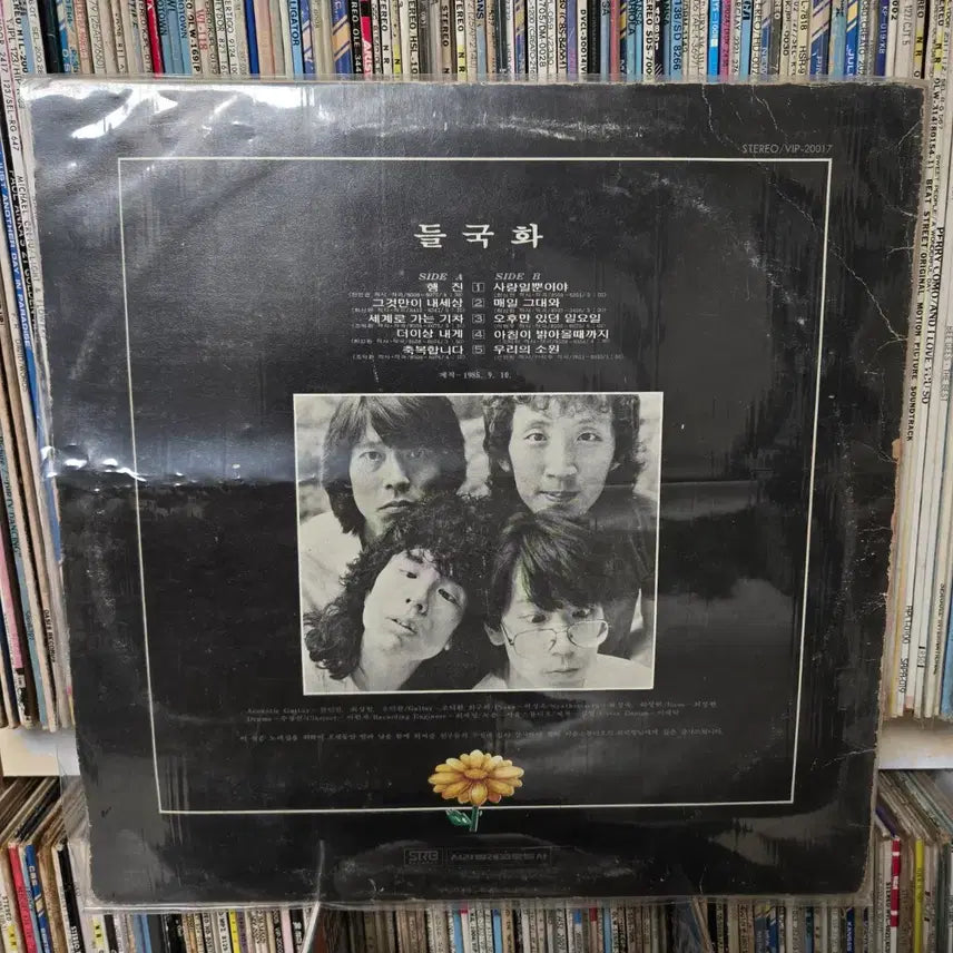 [BUNJANG] Deulgukhwa Haenjin LP Vinyl Record / 들국화 LP판 행진