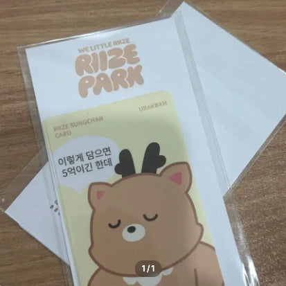 [BUNJANG] RIIZE Sungchan Wirila Park Little RIIZE Card Cover Sticker (Sealed) / 미개봉 원가이하 라이즈 성찬 위리라 파크 리틀 라이즈 카드커버 스티커