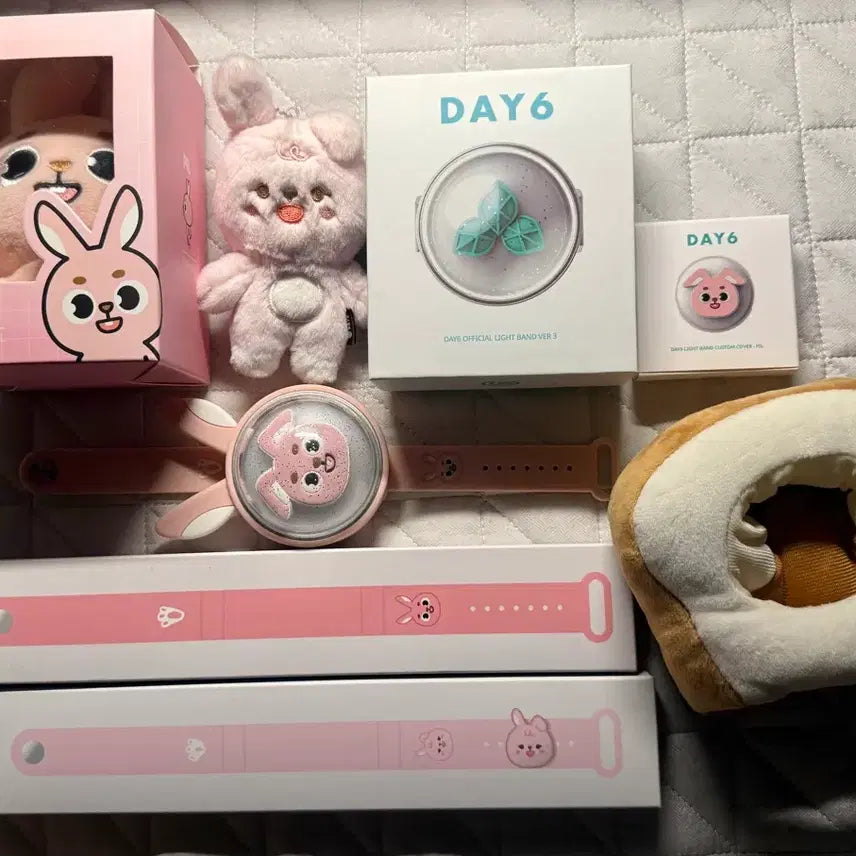 [BUNJANG] Day6 Wonpil "Pilkkii Custom" Doll Set / 급처) 데이식스 원필 필끼 커스텀 등 양도합니다