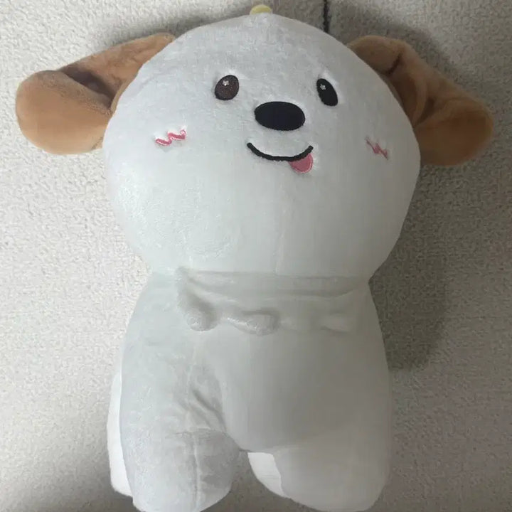 [BUNJANG] RIIZE Anton 40cm Giant Plush Doll / 라이즈 앤톤 40cm 대왕 멍룡이