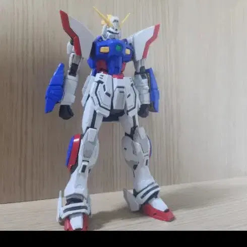 [BUNJANG] Bandai RG Shining Gundam Completed Model Kit / 반다이 rg 샤이닝 건담 프라모델 완성품