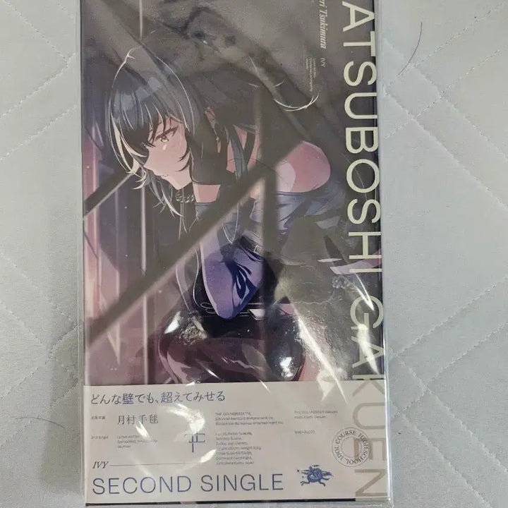 [BUNJANG] HAGUMA GAKUMASU Tsukimura Temari 2nd Single IVY / 학마 가쿠마스 츠키무라 테마리 2nd single IVY