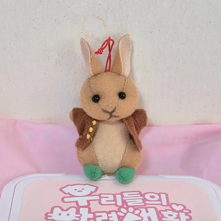 [BUNJANG] Vintage Peter Rabbit Vest Rabbit Doll Keychain / 고전 빈티지 피터래빗 조끼 토끼 인형 키링
