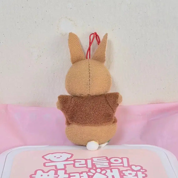 [BUNJANG] Vintage Peter Rabbit Vest Rabbit Doll Keychain / 고전 빈티지 피터래빗 조끼 토끼 인형 키링