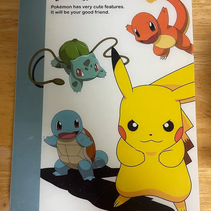[BUNJANG] Pokemon Square Multi Album Card File / 포켓몬 스퀘어 멀티 앨범 카드 파일